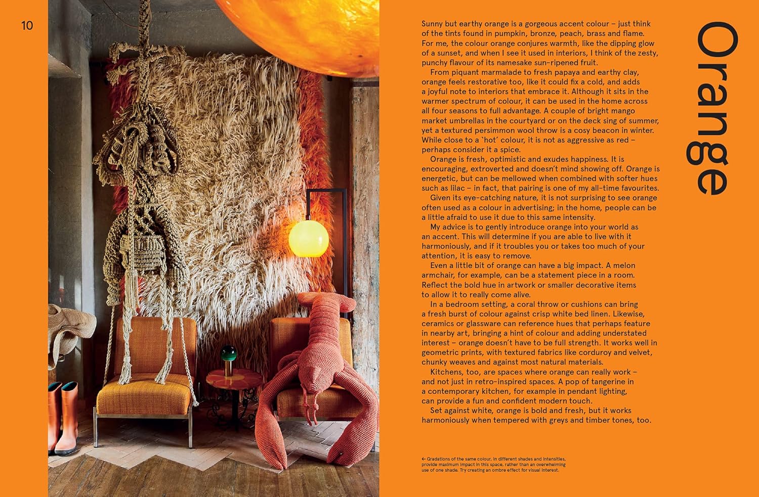 Vivid: Style in Colour Book