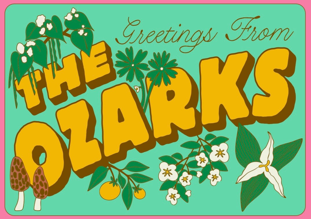 West Hand - * Greeting from the Ozarks Postcard