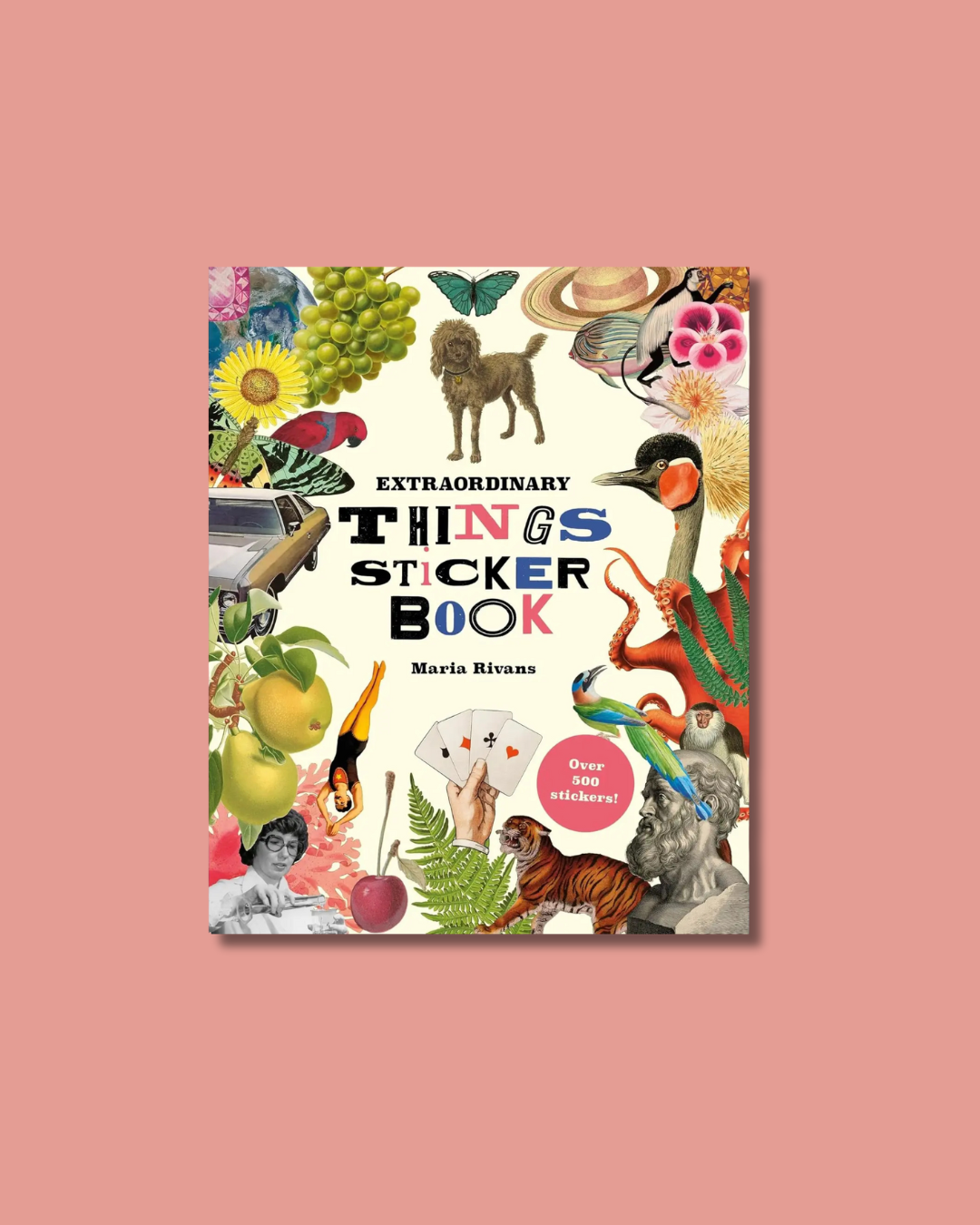 Extraordinary Things Sticker Book