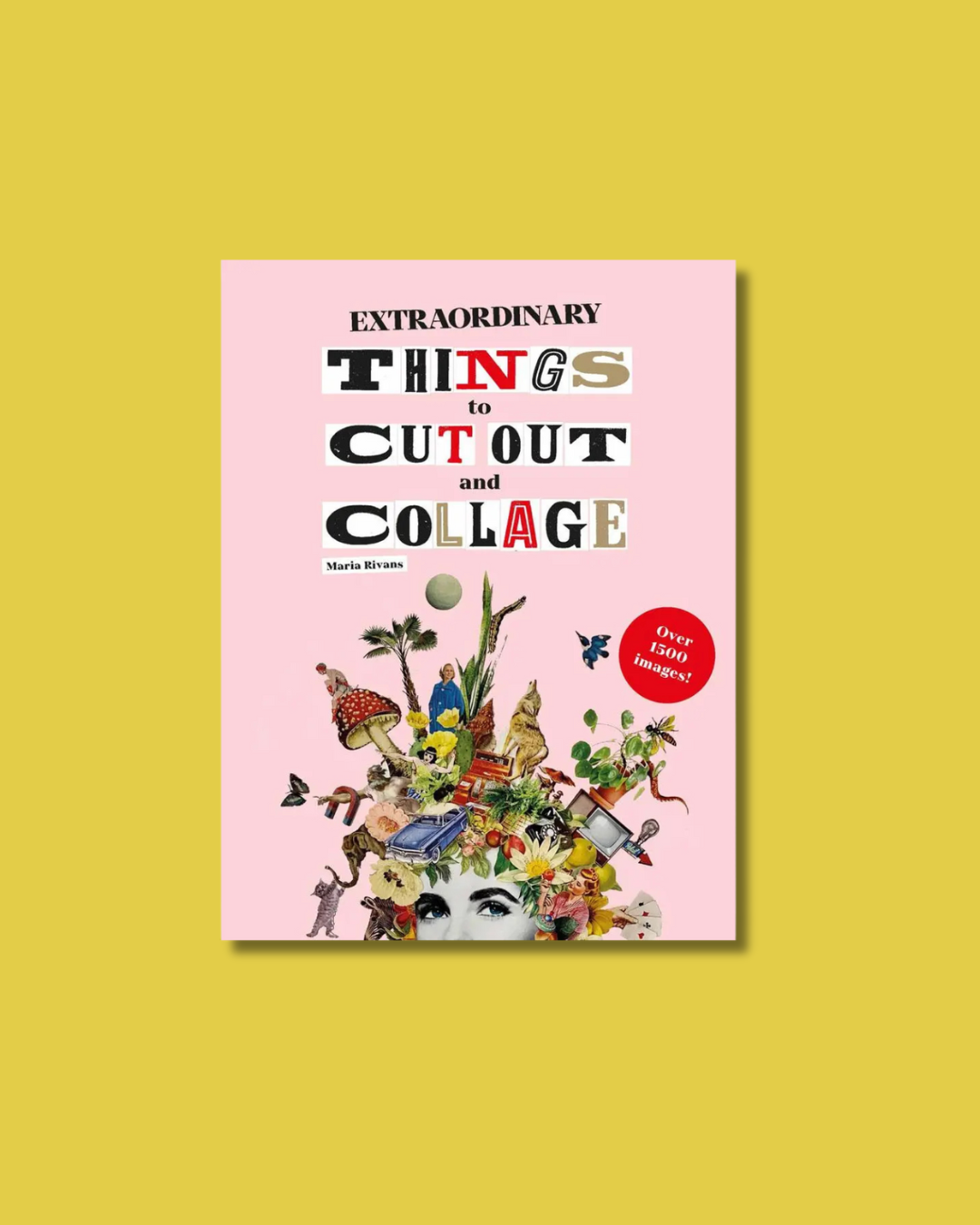 Extraordinary Things to Cut Out and Collage