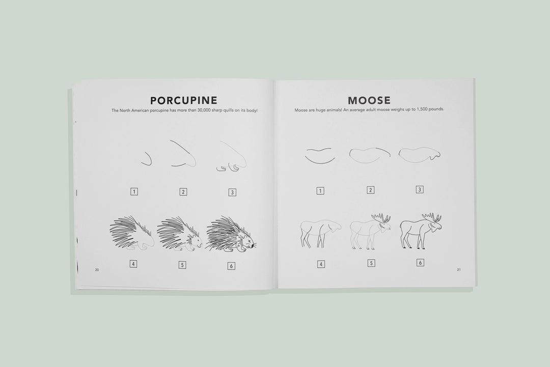 How to Draw for Kids: Woodland Creatures