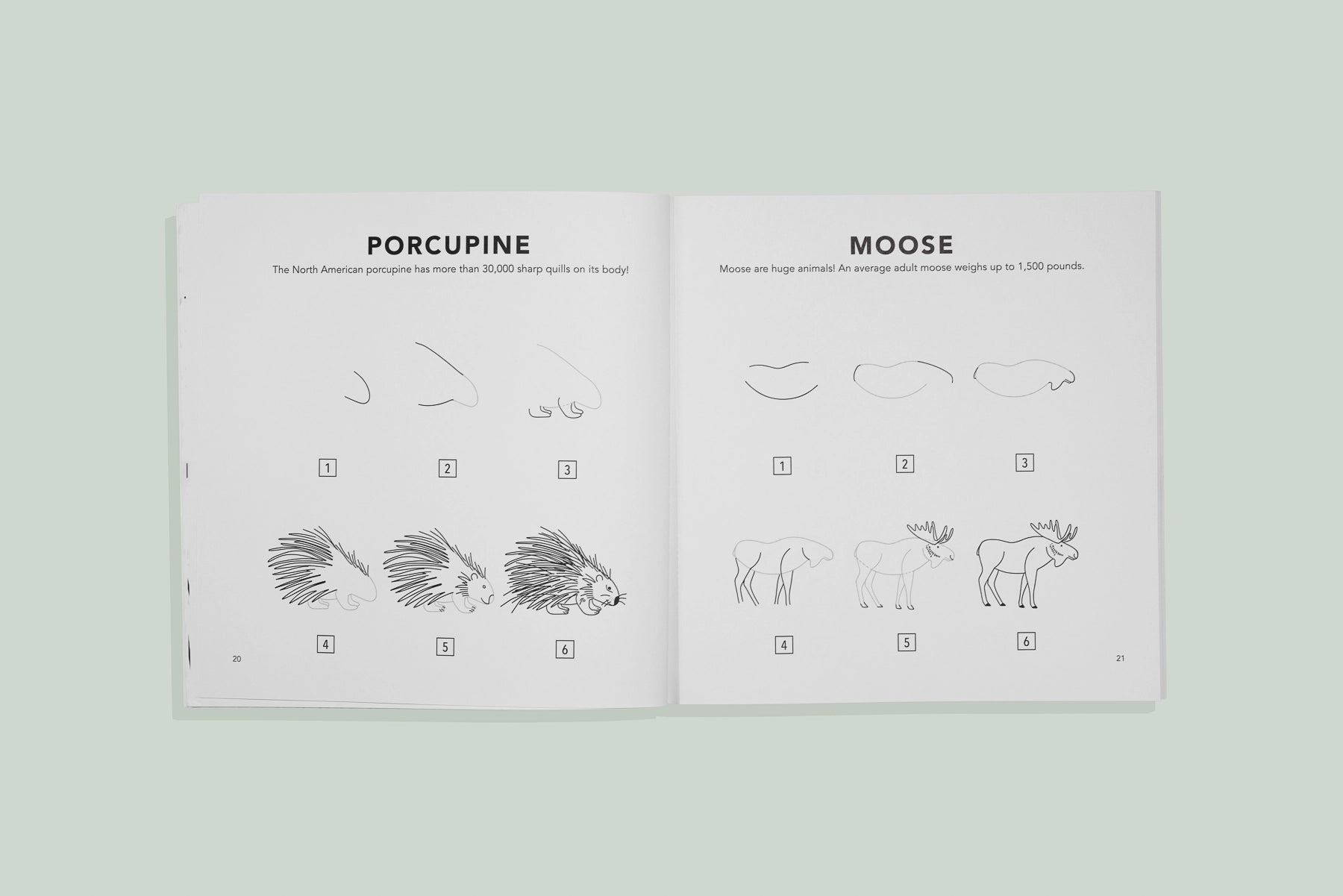 How to Draw for Kids: Woodland Creatures