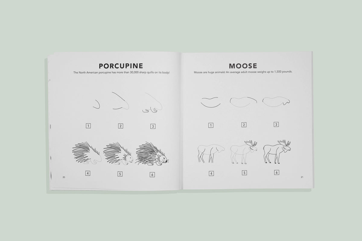 How to Draw for Kids: Woodland Creatures