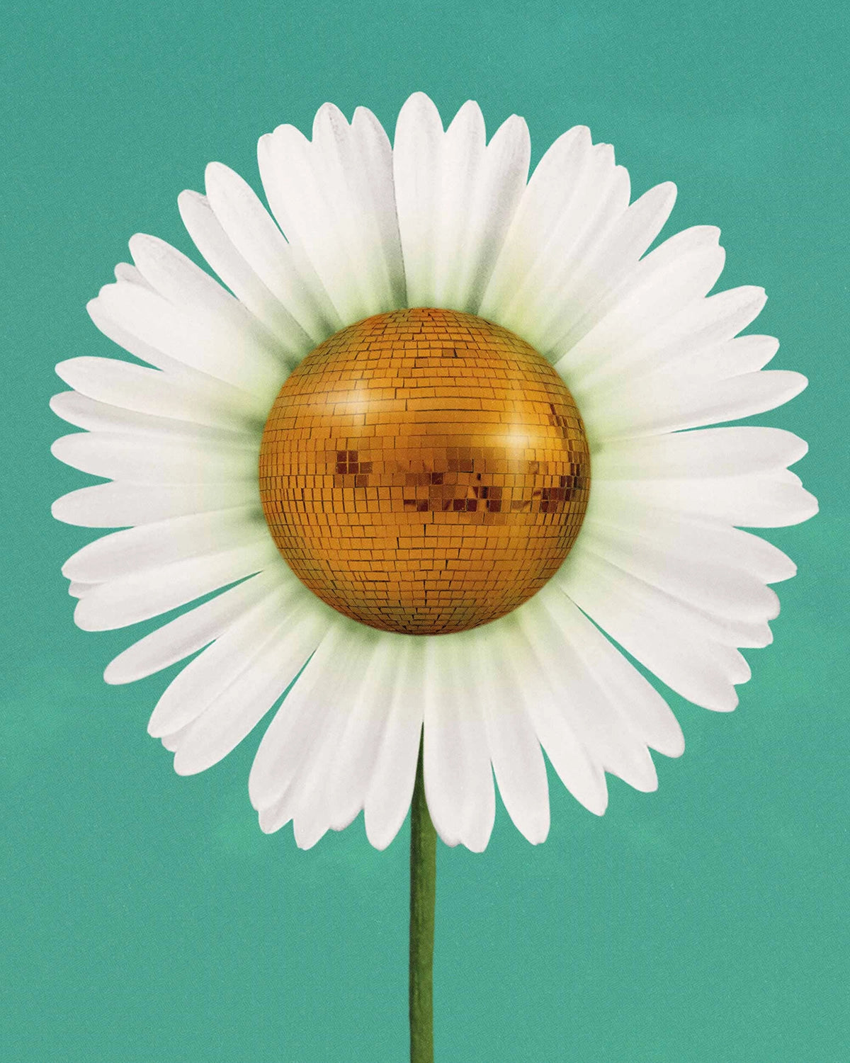 Julia Walck- Daisy Disco Art Print