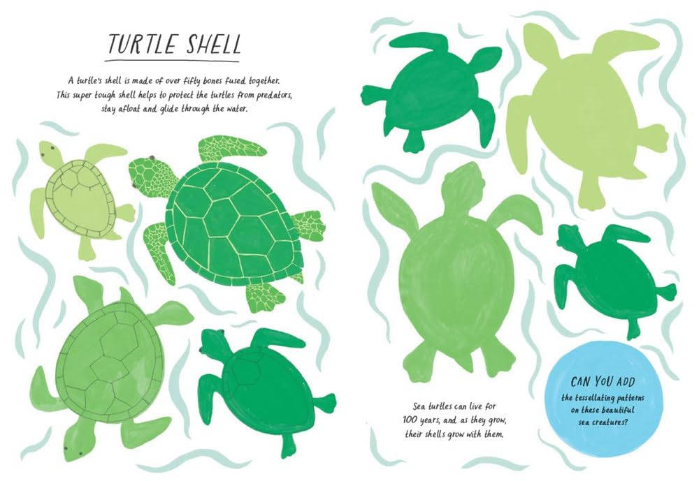 Drawn By Nature: Patterns Book