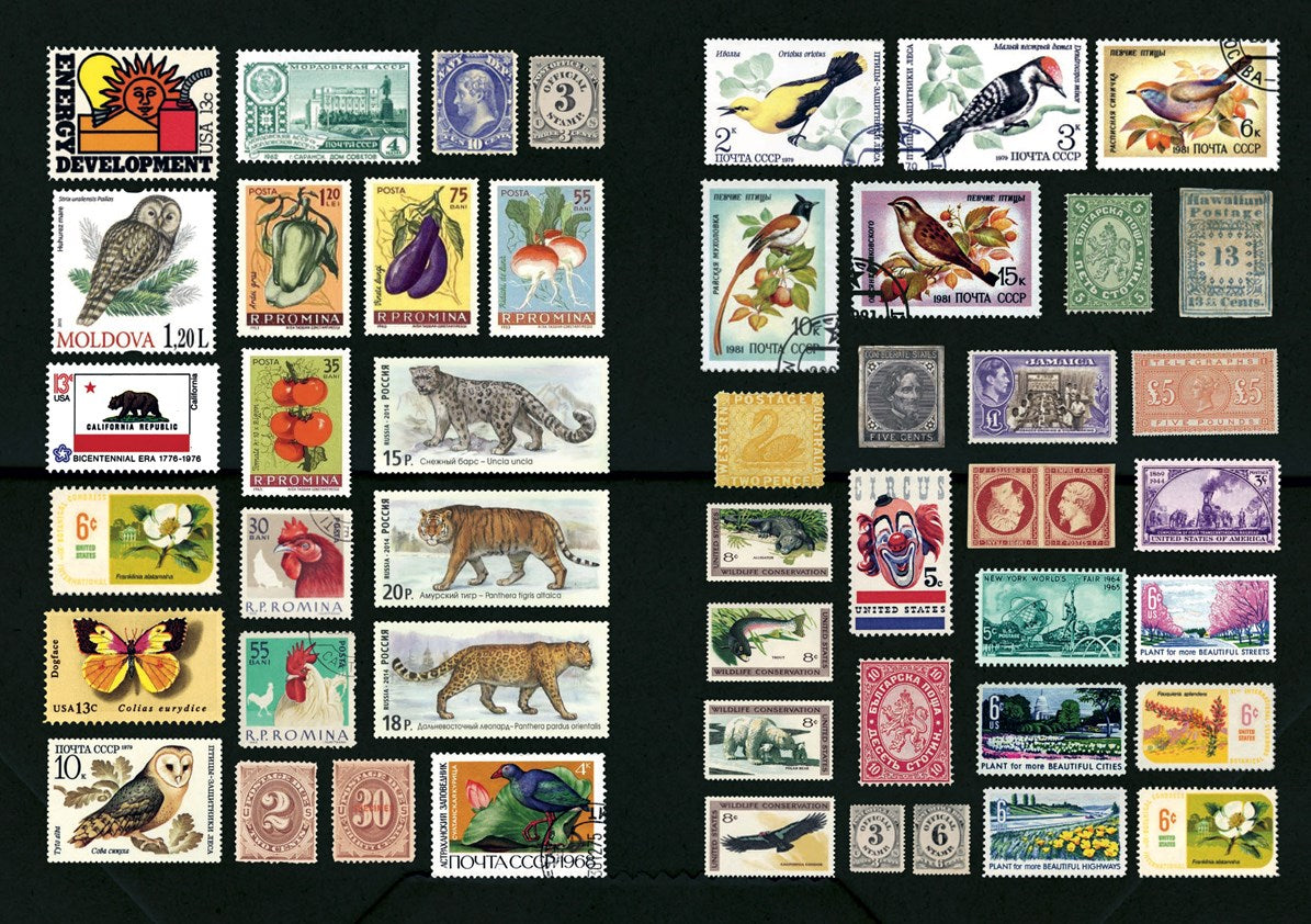 The Curious Collectibles Sticker Book