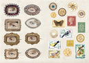The Curious Collectibles Sticker Book