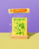 Mook - Mini Print Pack