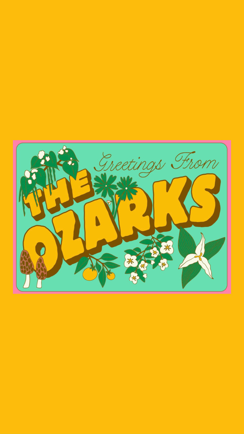 West Hand - * Greeting from the Ozarks Postcard