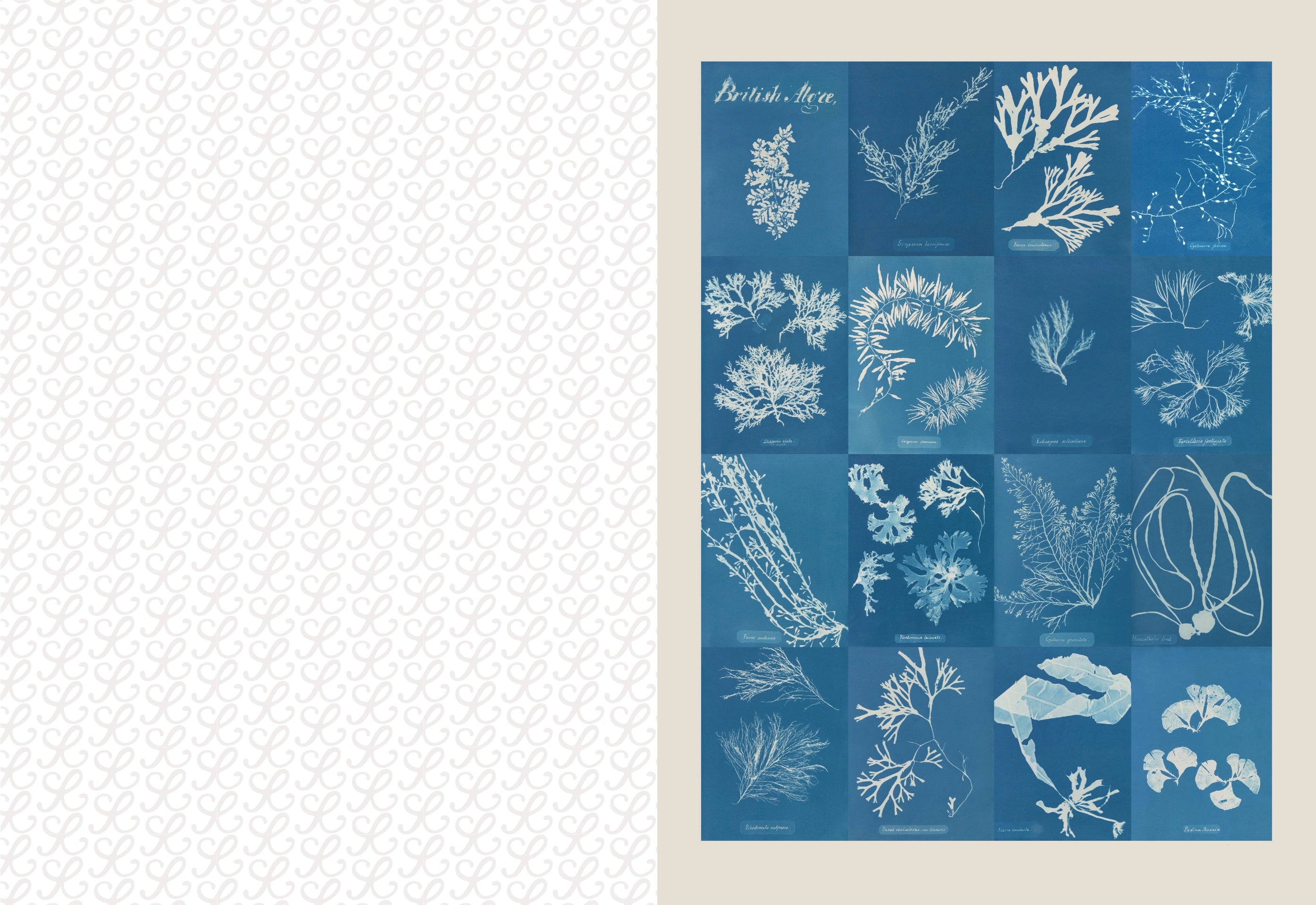 Collage Compendium