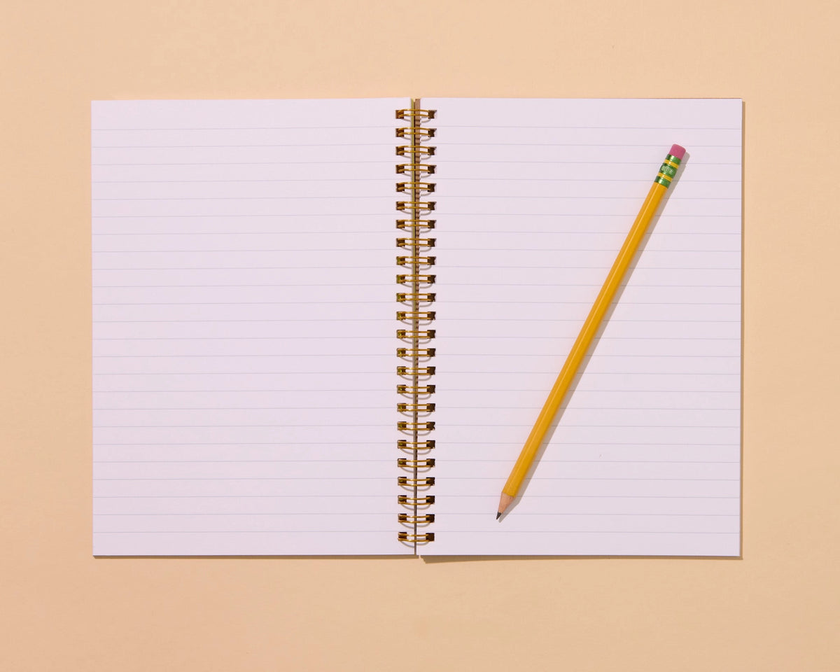 And Here We Are - Cats A5 Spiral Notebook