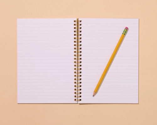 And Here We Are - Cats A5 Spiral Notebook