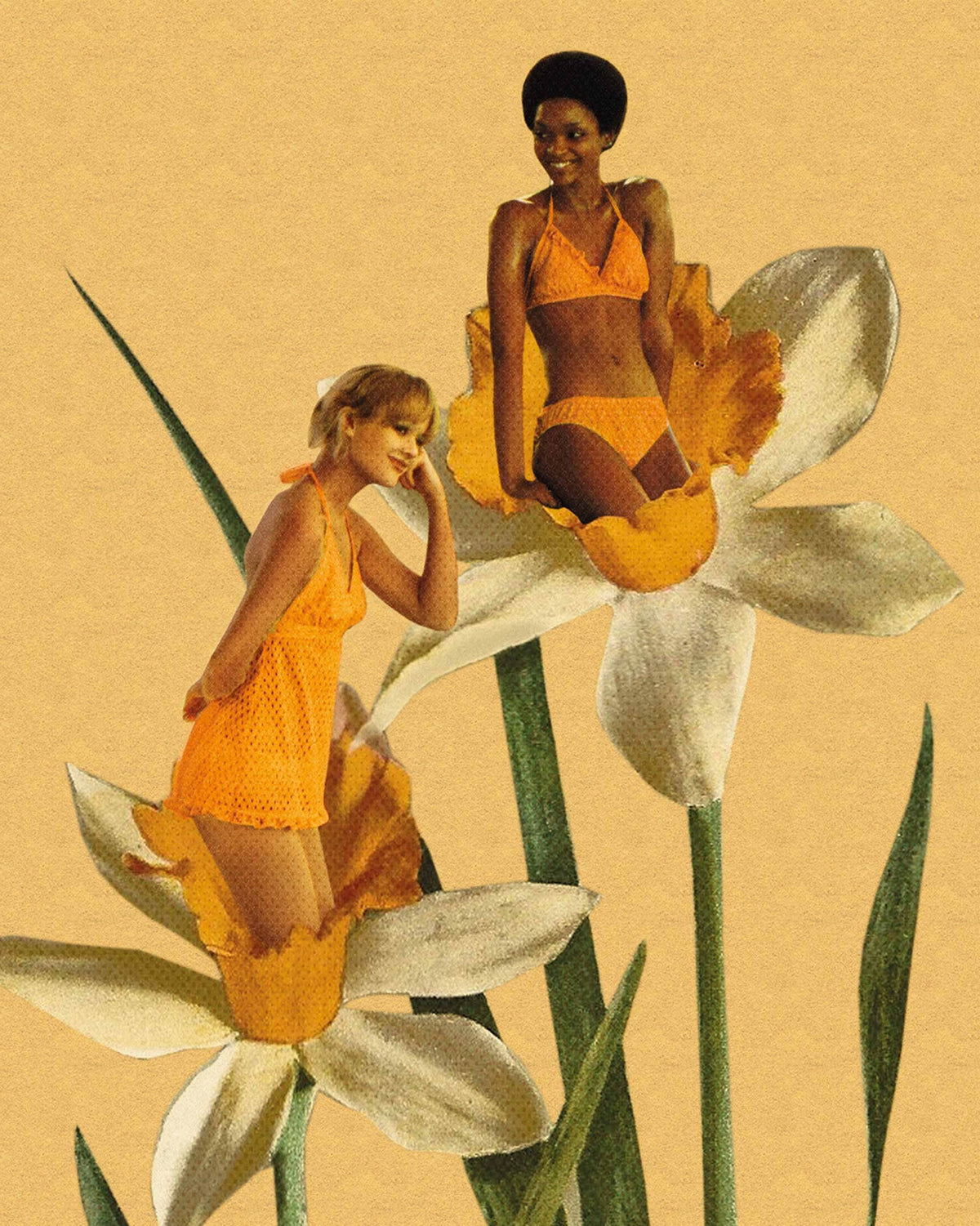 Julia Walck- Daffodil Art Print