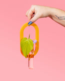 Squiggle Cutters - Ellipse Wall Propagation Tube Vase