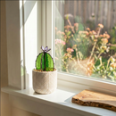 PRISM+Petal - Barrel Cactus Transparent