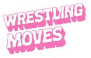 Mook - * Wrestling Moves Zine