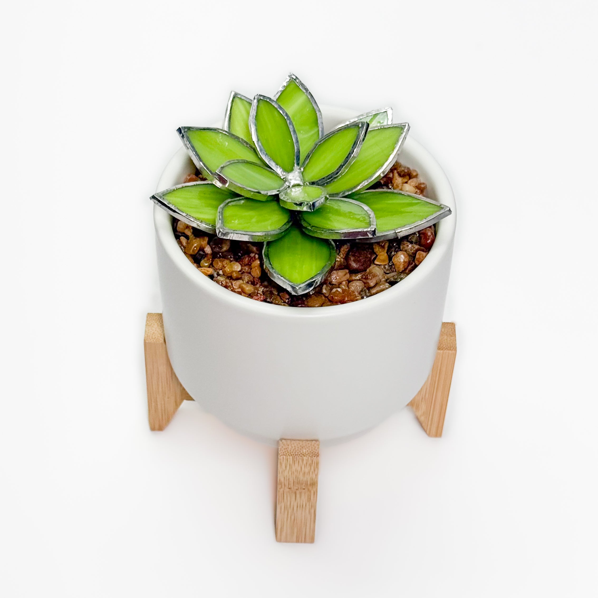 PRISM+Petal - Jade Succulent