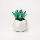 PRISM+Petal - Agave