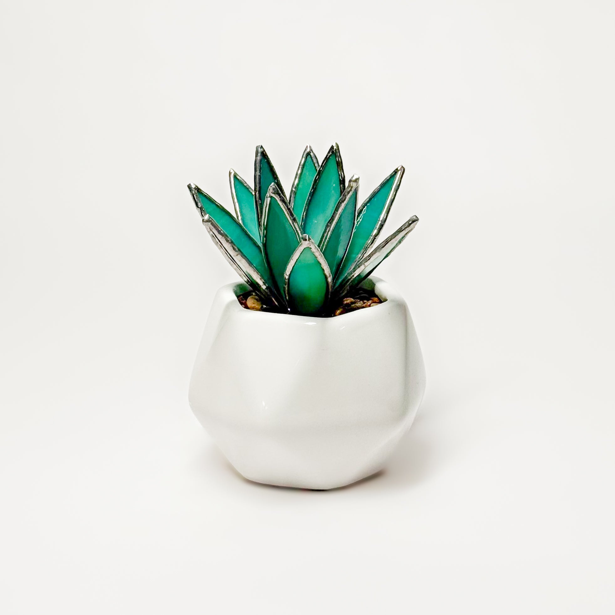 PRISM+Petal - Agave