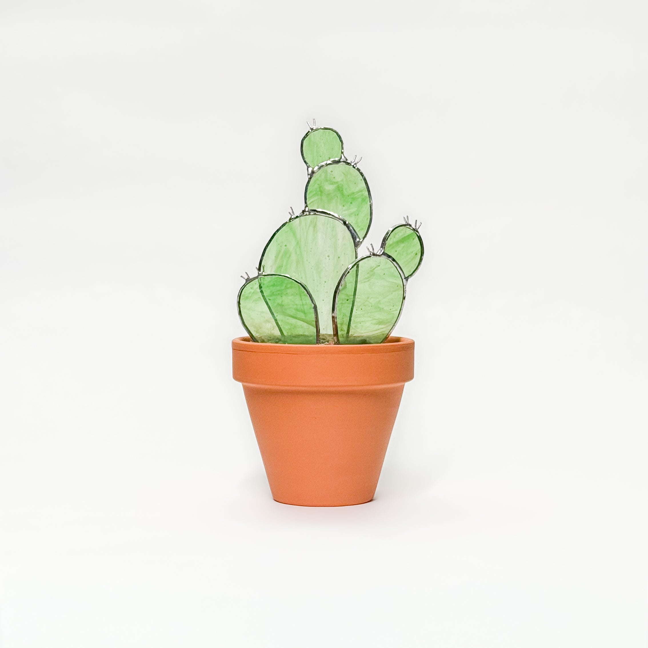 PRISM+Petal - Prickly Pear Cactus
