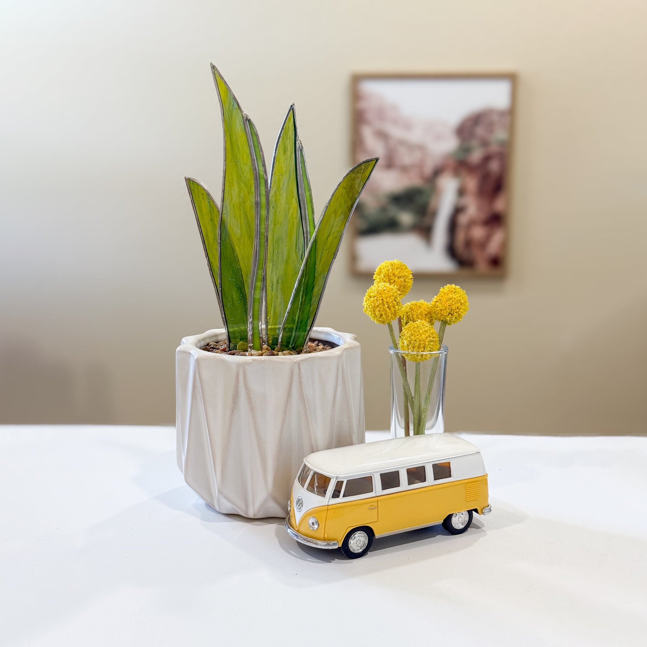 PRISM+Petal - Snake Plant