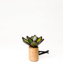 PRISM+Petal - Hens & Chicks: Car Vent Clip