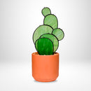 PRISM+Petal - Prickly Pear Cactus