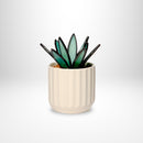 PRISM+Petal - Agave