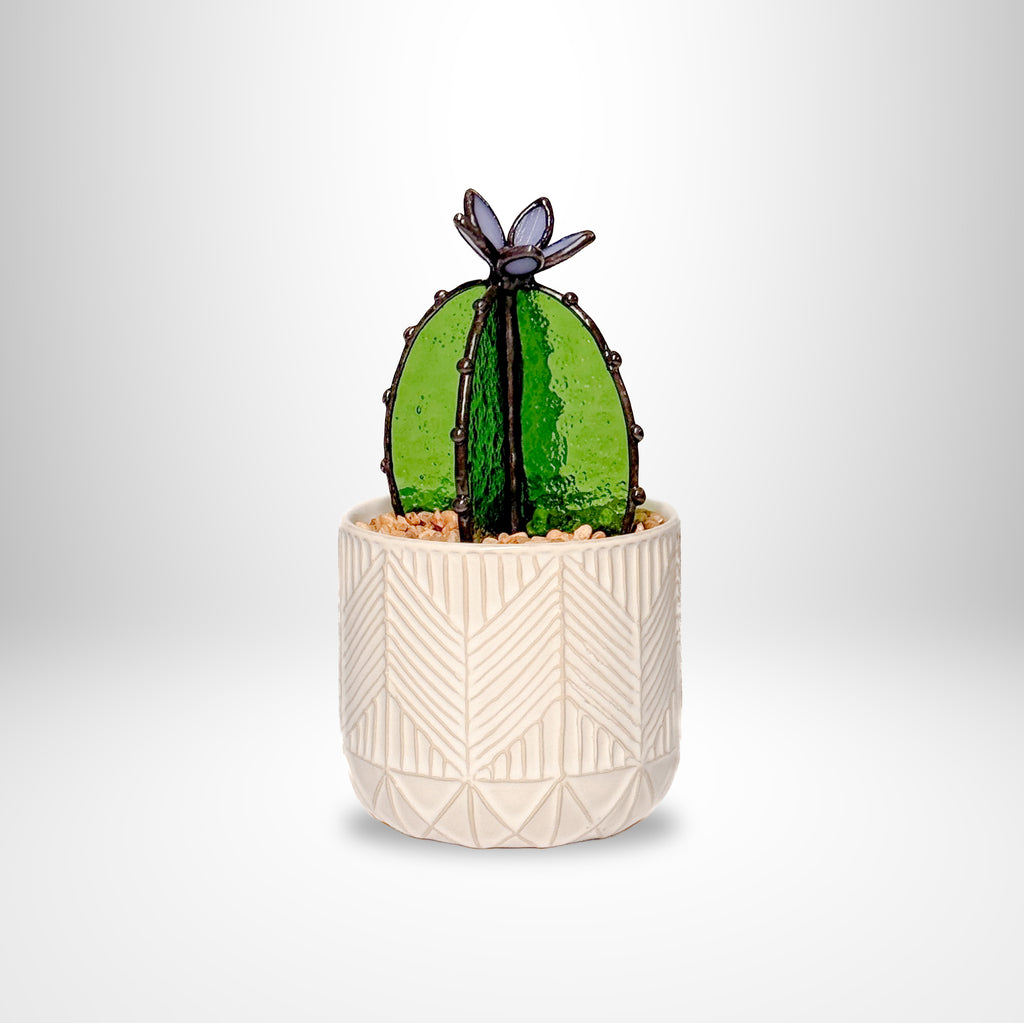 PRISM+Petal - Barrel Cactus Transparent