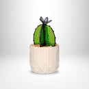 PRISM+Petal - Barrel Cactus Transparent
