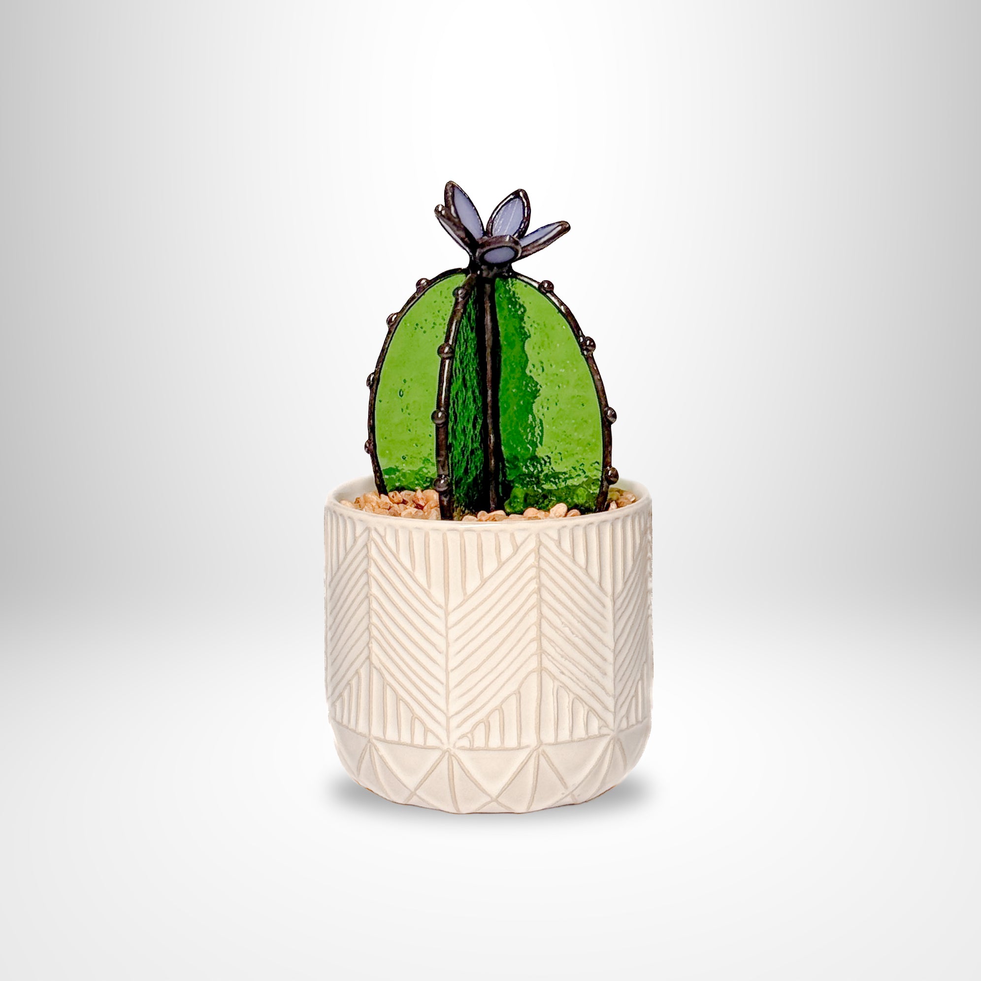 PRISM+Petal - Barrel Cactus Transparent