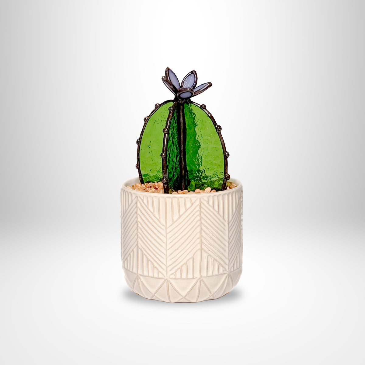 PRISM+Petal - Barrel Cactus Transparent