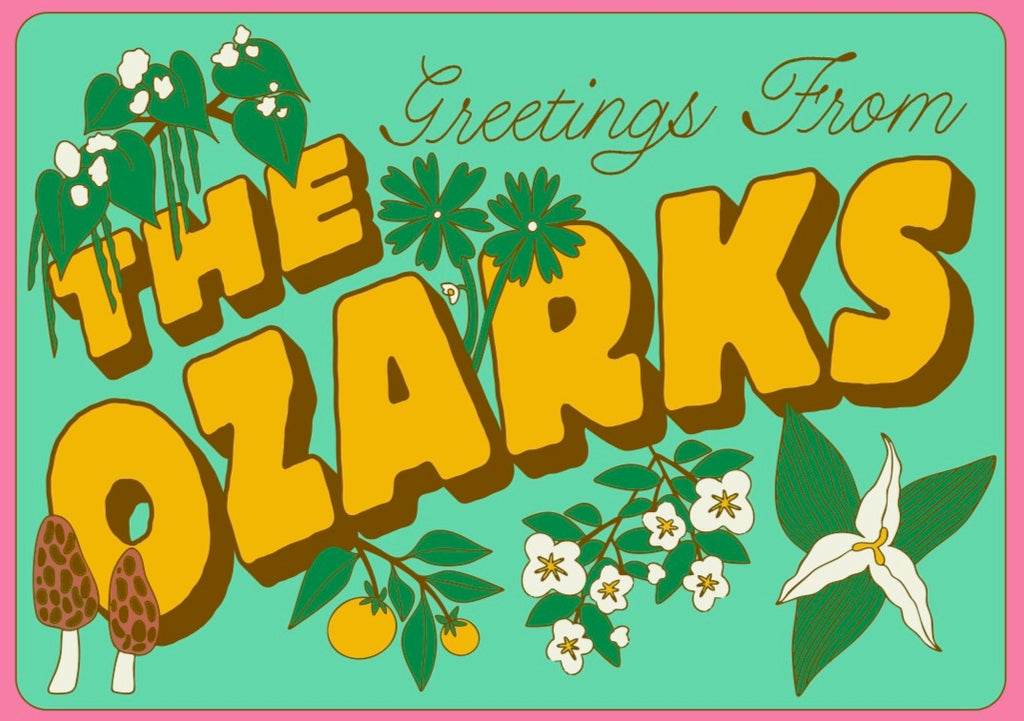 West Hand - * Greeting from the Ozarks Postcard