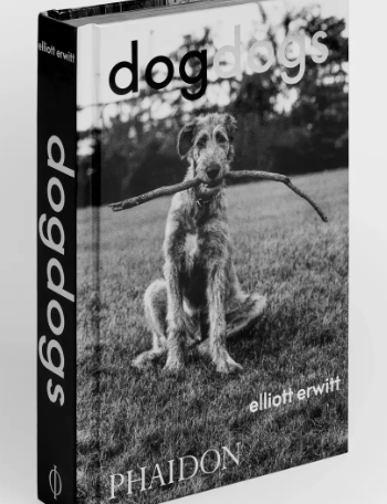 Dogdogs