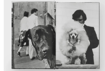 Dogdogs