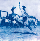 Camilla Crittended - * Cowboy Tiles