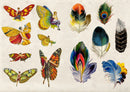 The Curious Collectibles Sticker Book
