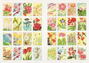The Curious Collectibles Sticker Book