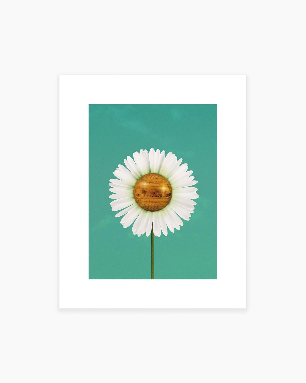 Julia Walck- Daisy Disco Art Print