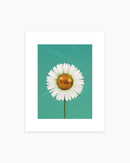 Julia Walck- Daisy Disco Art Print