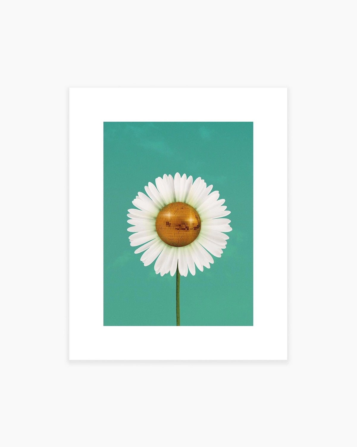 Julia Walck- Daisy Disco Art Print