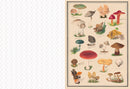 Collage Compendium