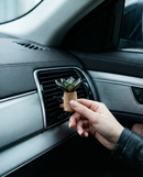 PRISM+Petal - Hens & Chicks: Car Vent Clip